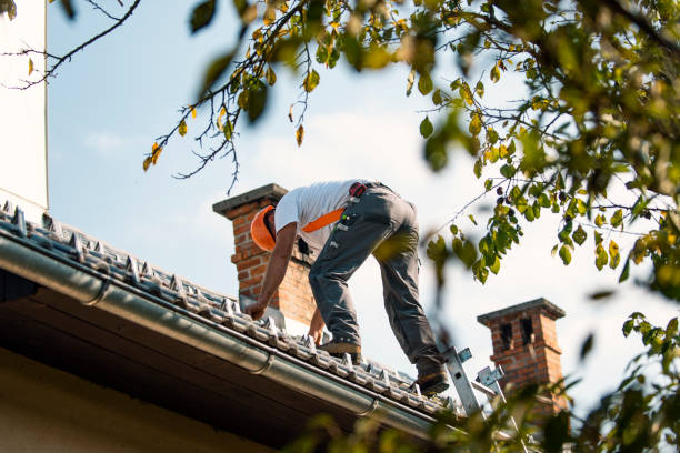 Best Residential Roofing Contractor  in Brownsville, LA